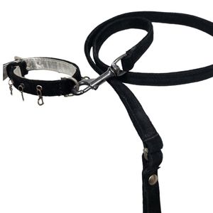 Black Suede Dog Collar With BIG DIP Spelled Out in Silver Tone Letters.